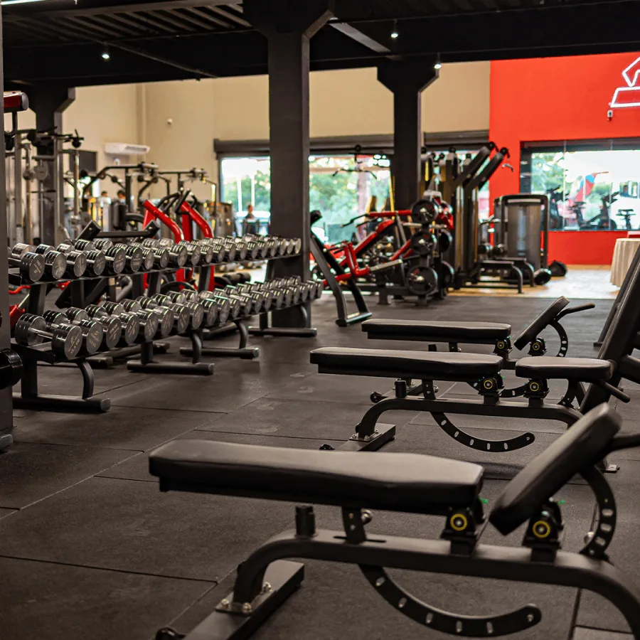 Estrutura - Simplifit Dirceu